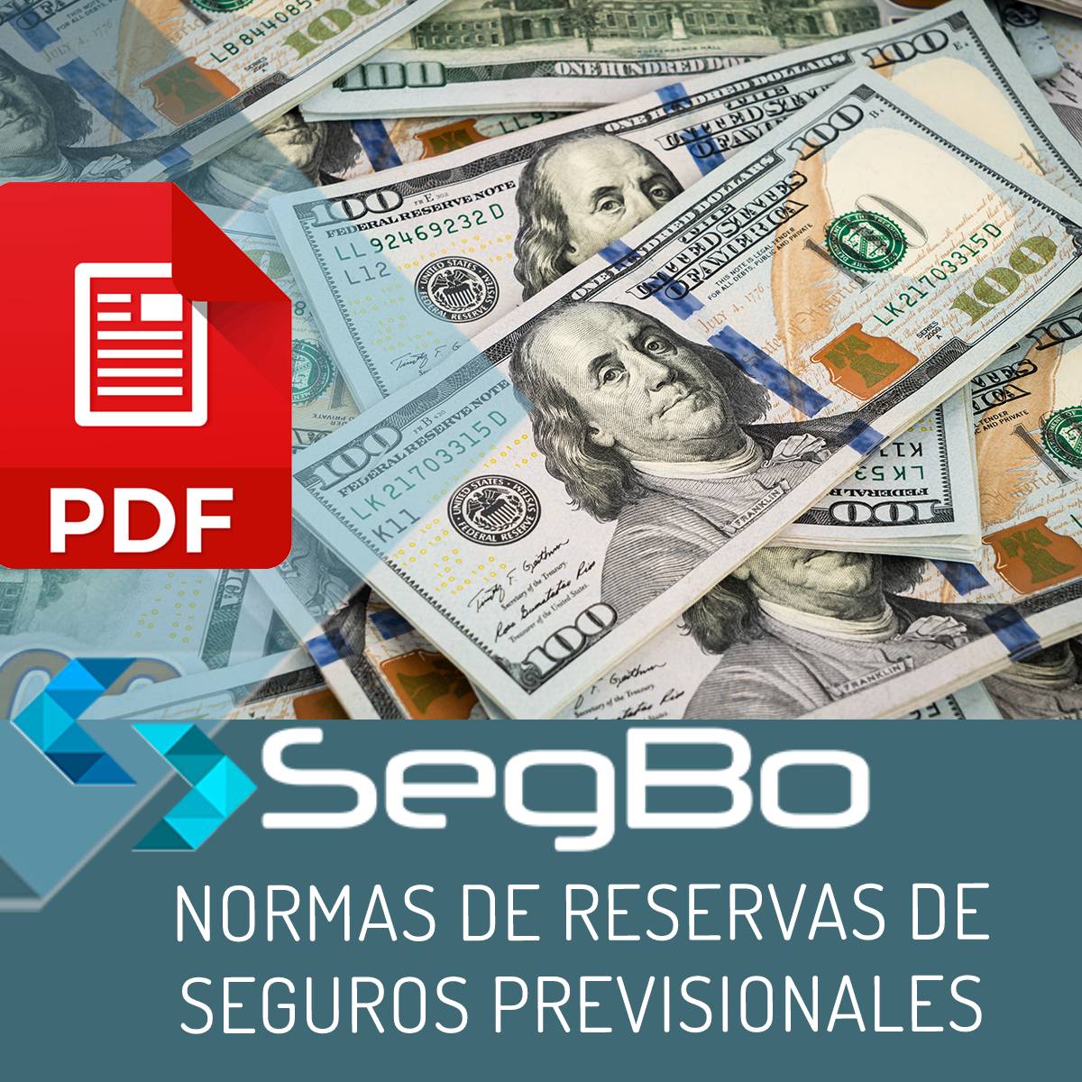 Seguros Previsionales | Seguros En Bolivia